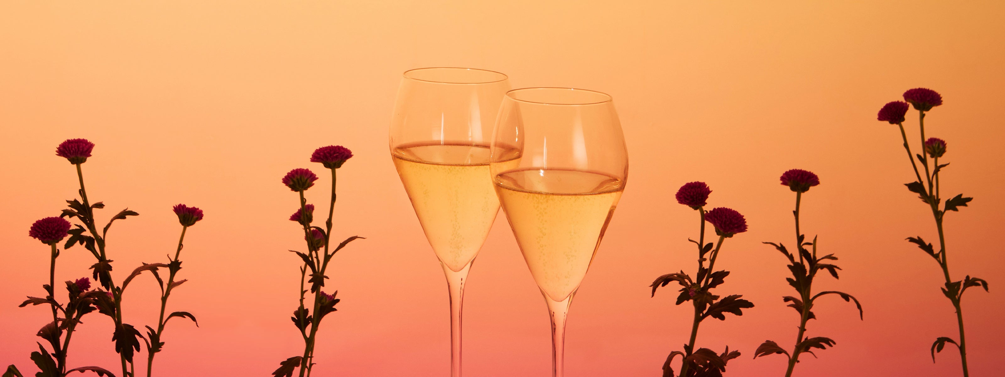 Kollektion champagner Blancs de Noirs von Quast Kollektion 