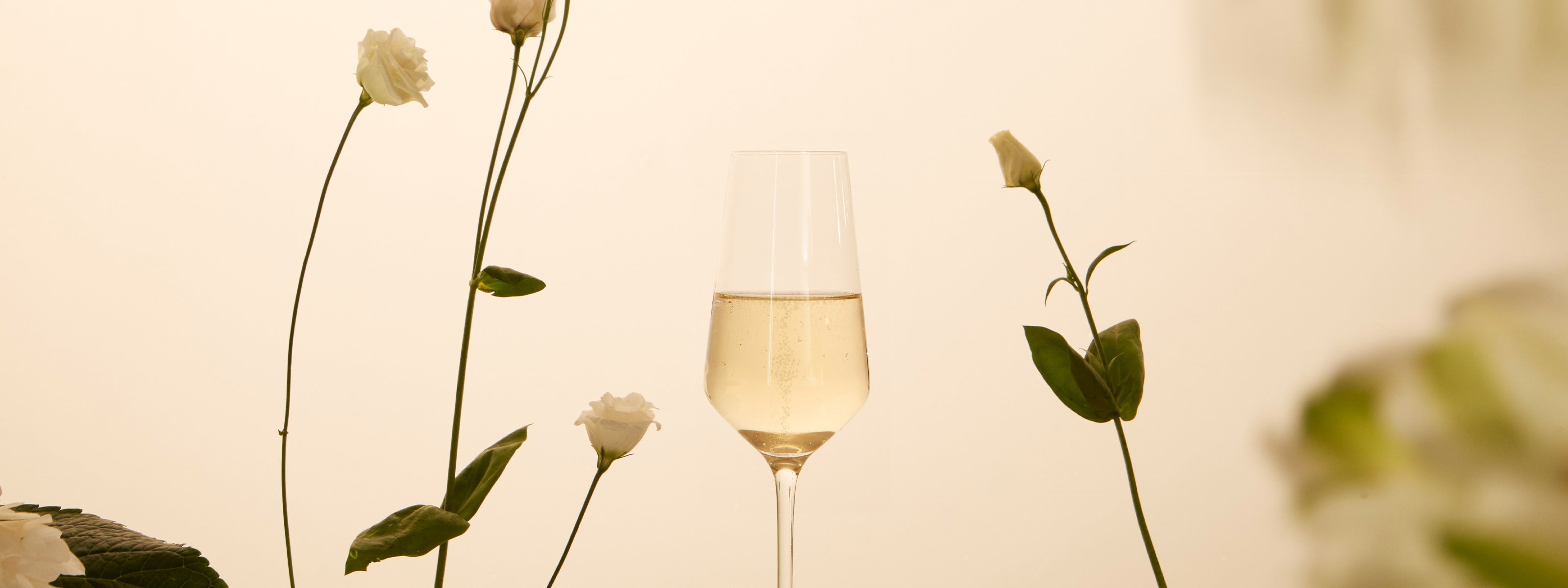 Brut nature / Extra Brut